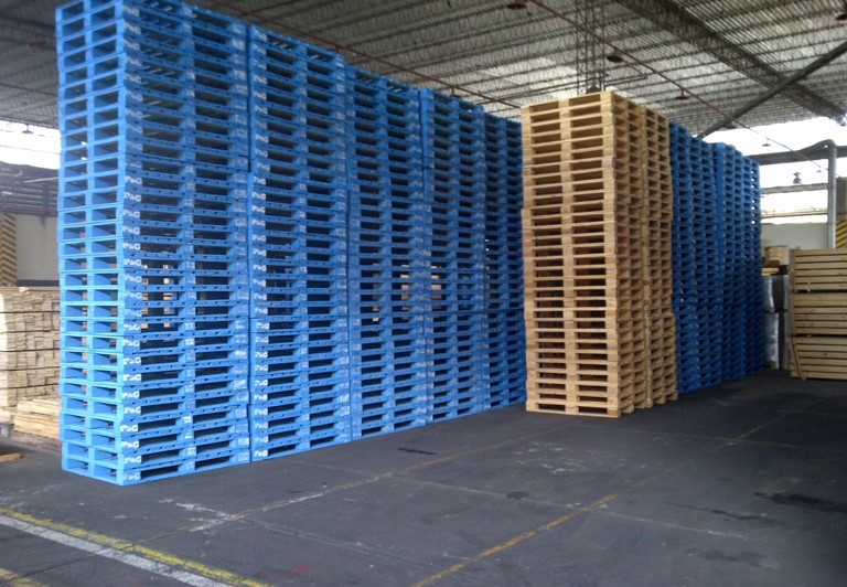 Imagen11